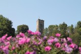 Burg Grenzau